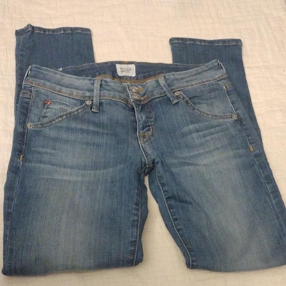 Hudson Jeans Blue Skinny Denim